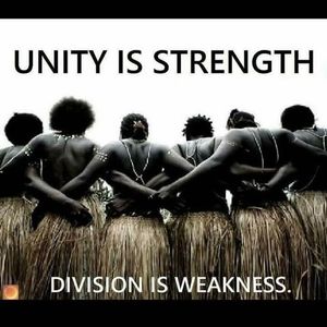 Meet your Posher, Junera